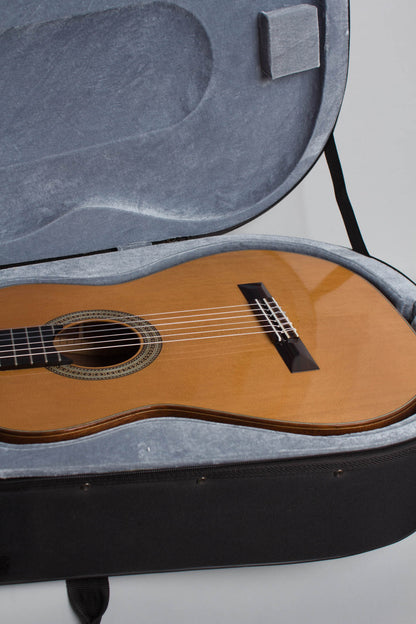 Ross Gutmeier Classical Guitar (2010)