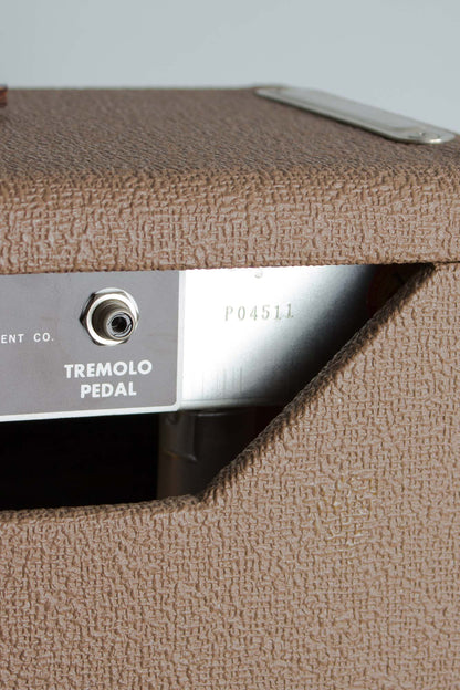 Fender Princeton 6G2 Tube Amplifier (1962)