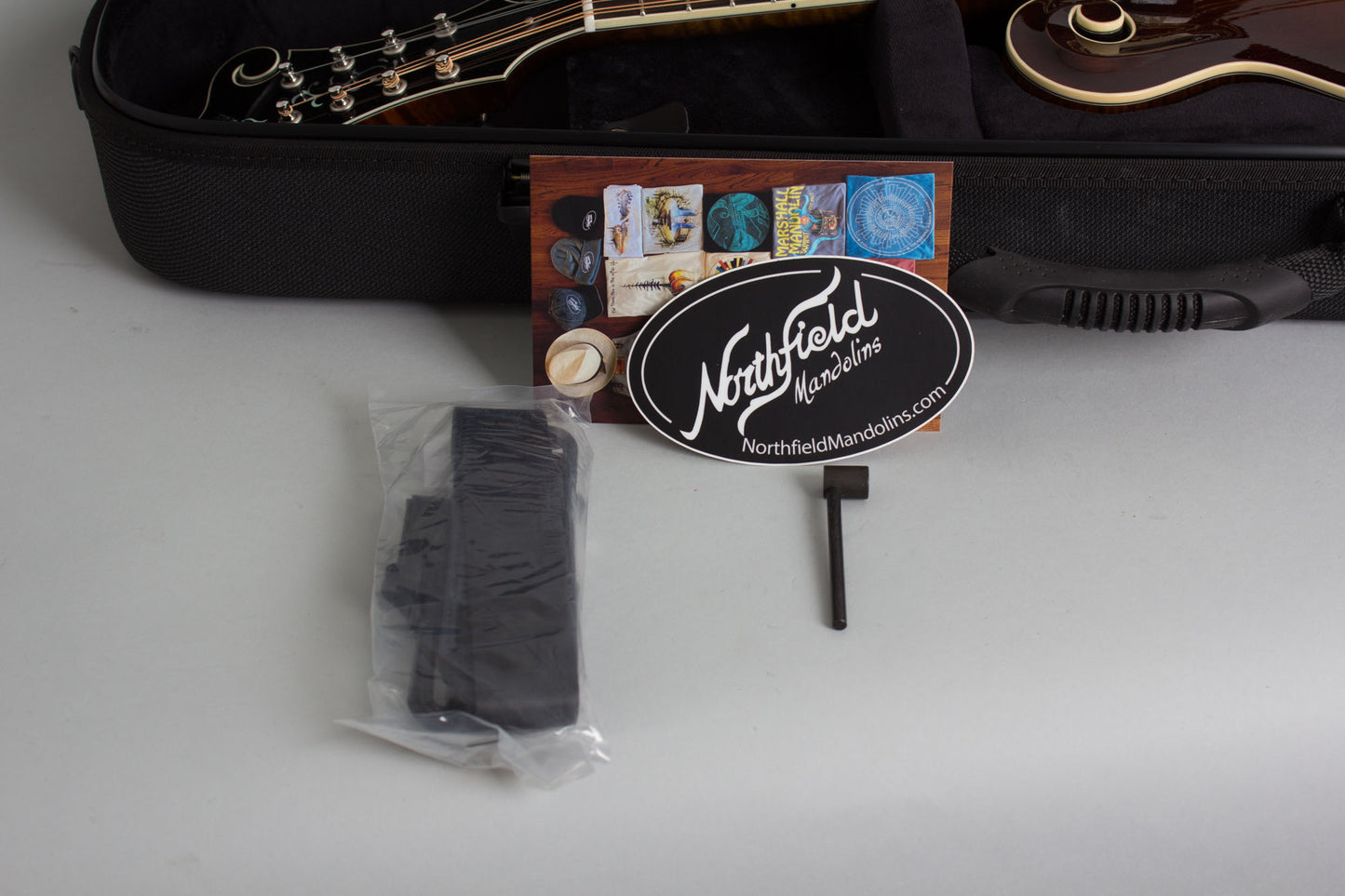 Northfield NFB-F5AWN Big Mon Carved Top Mandolin (2025)