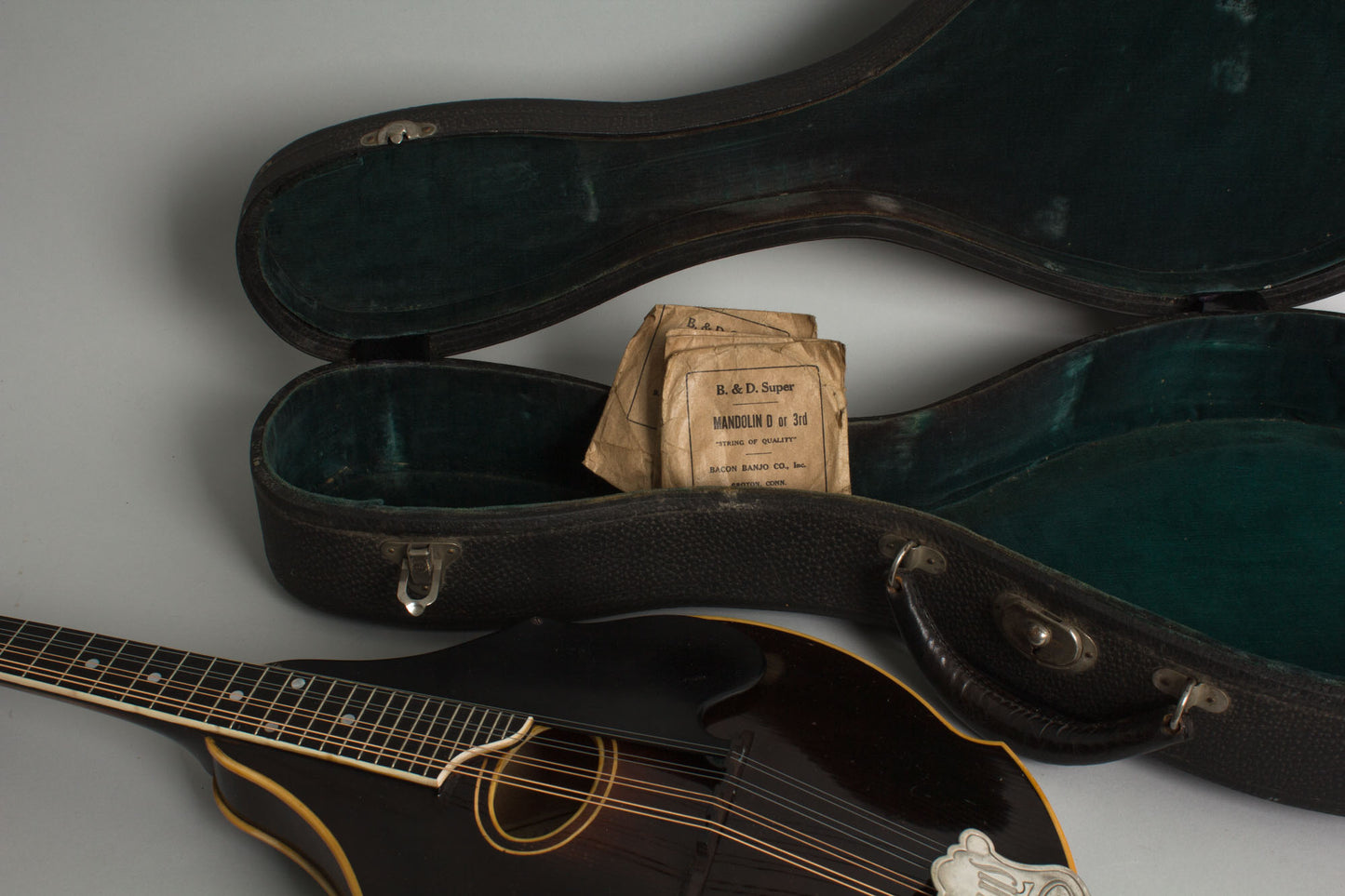 Bacon William Place Jr. Artist Model Carved Top Mandolin (1921)