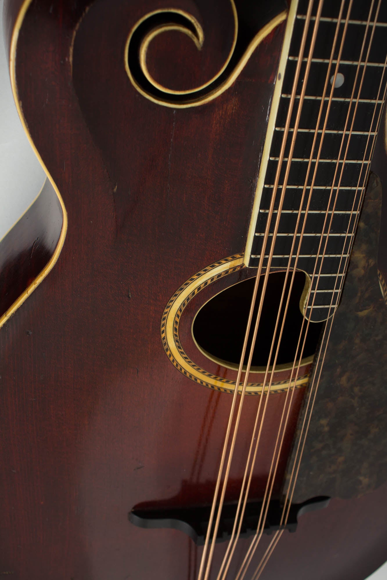Gibson K-4 Carved Top Mandocello (1916)