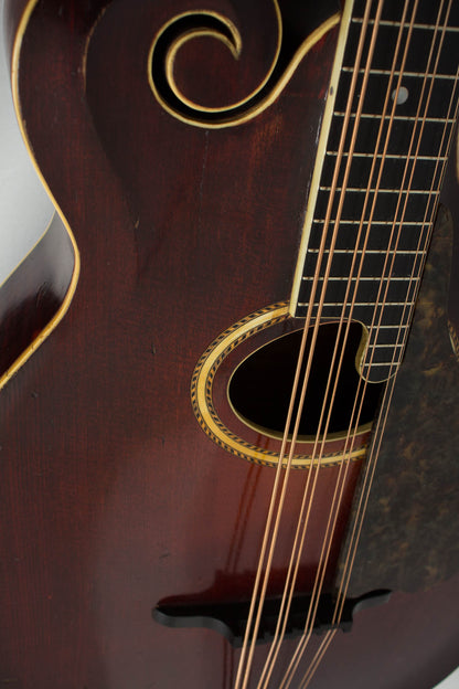 Gibson K-4 Carved Top Mandocello (1916)