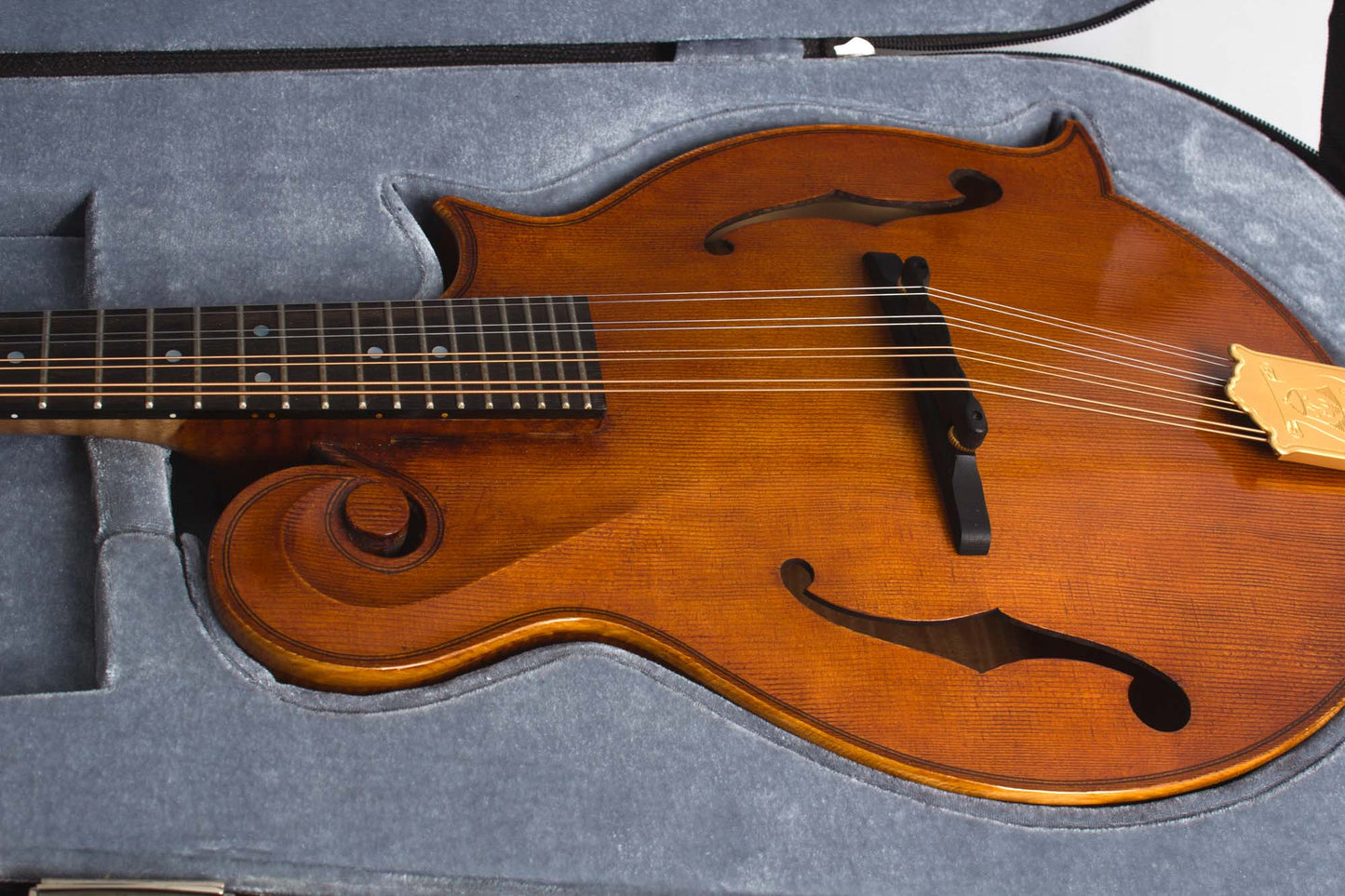 Joseph Campanella Cleary Campanella Carved Top Mandolin (2012)