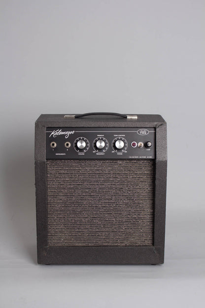 Kalamazoo Model Two Tube Amplifier (1965)