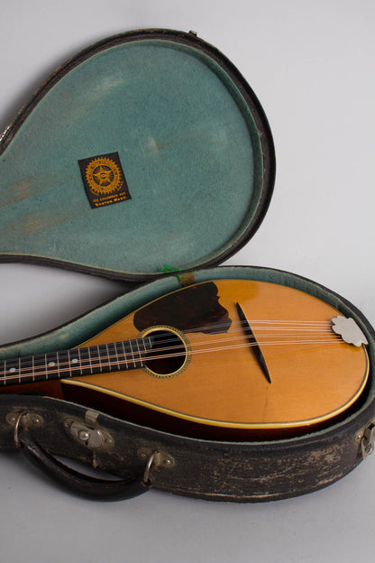 Vega Model 201 Flat Back, Bent Top Mandolin (1930)