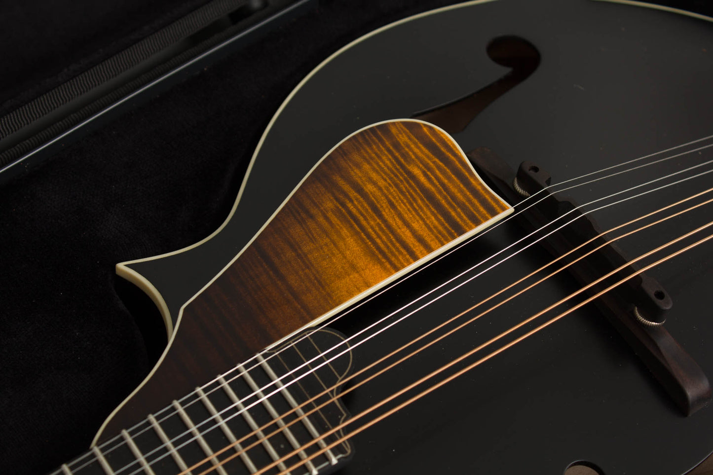 Northfield NFS-F5 Carved Top Mandolin (2026)