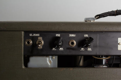 Standel Custom Model 80 L-15-V Tube Amplifier (1960)