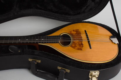 Vega Style 201 Flat Back, Bent Top Mandolin (1916)
