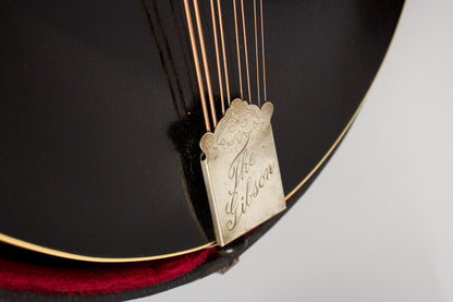 Gibson K-2 Carved Top Mandocello (1913)