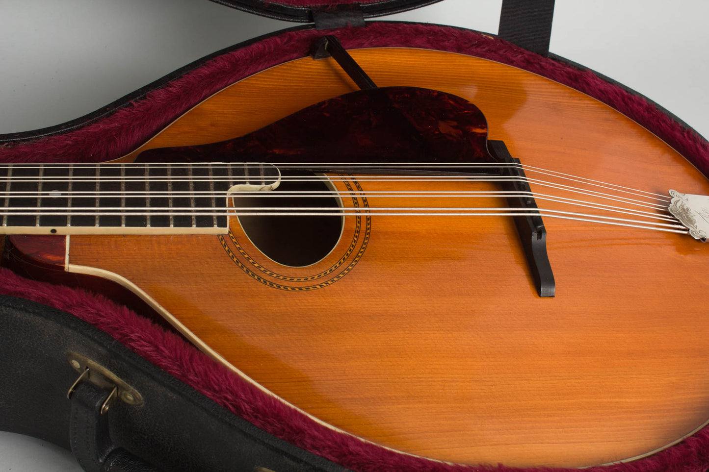 Gibson K-1 Carved Top Mandocello (1914)