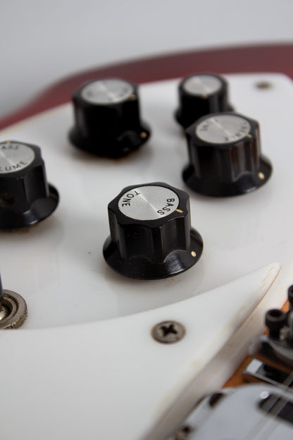 Rickenbacker Model 360/12 Thinline Hollow Body Electric Guitar (1966)