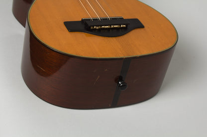 C. F. Martin T-18 10 String Tiple (1938)