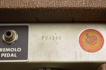 Fender Princeton 6G2 Tube Amplifier (1962)