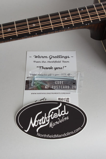 Northfield NFO-AT2 carved top Octave Mandolin (2025)