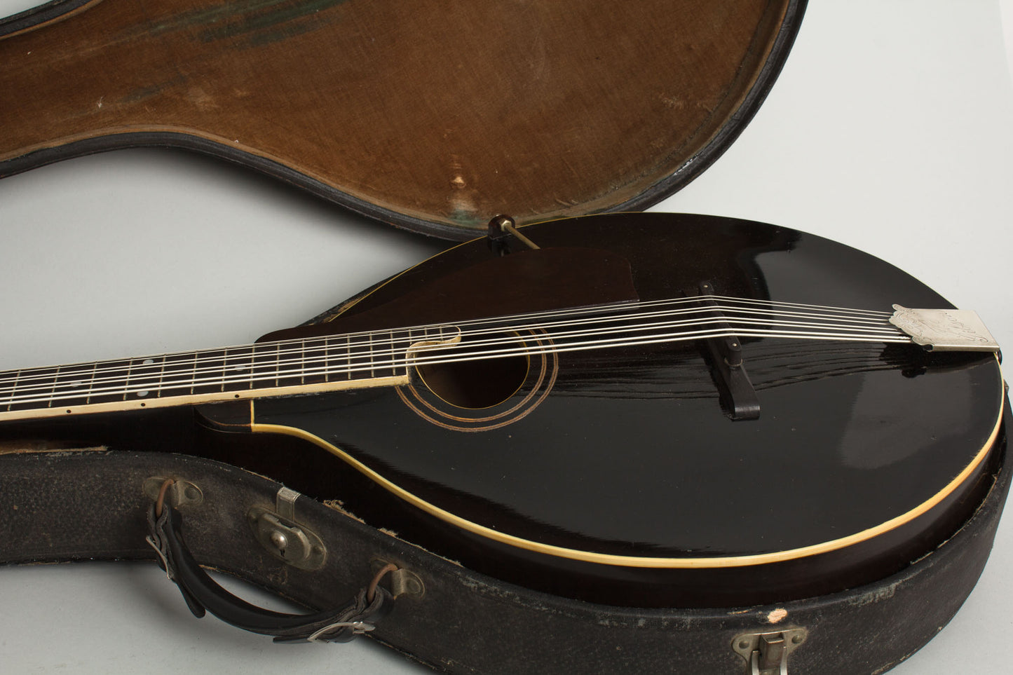 Gibson K-1 Carved Top Mandocello (1924)