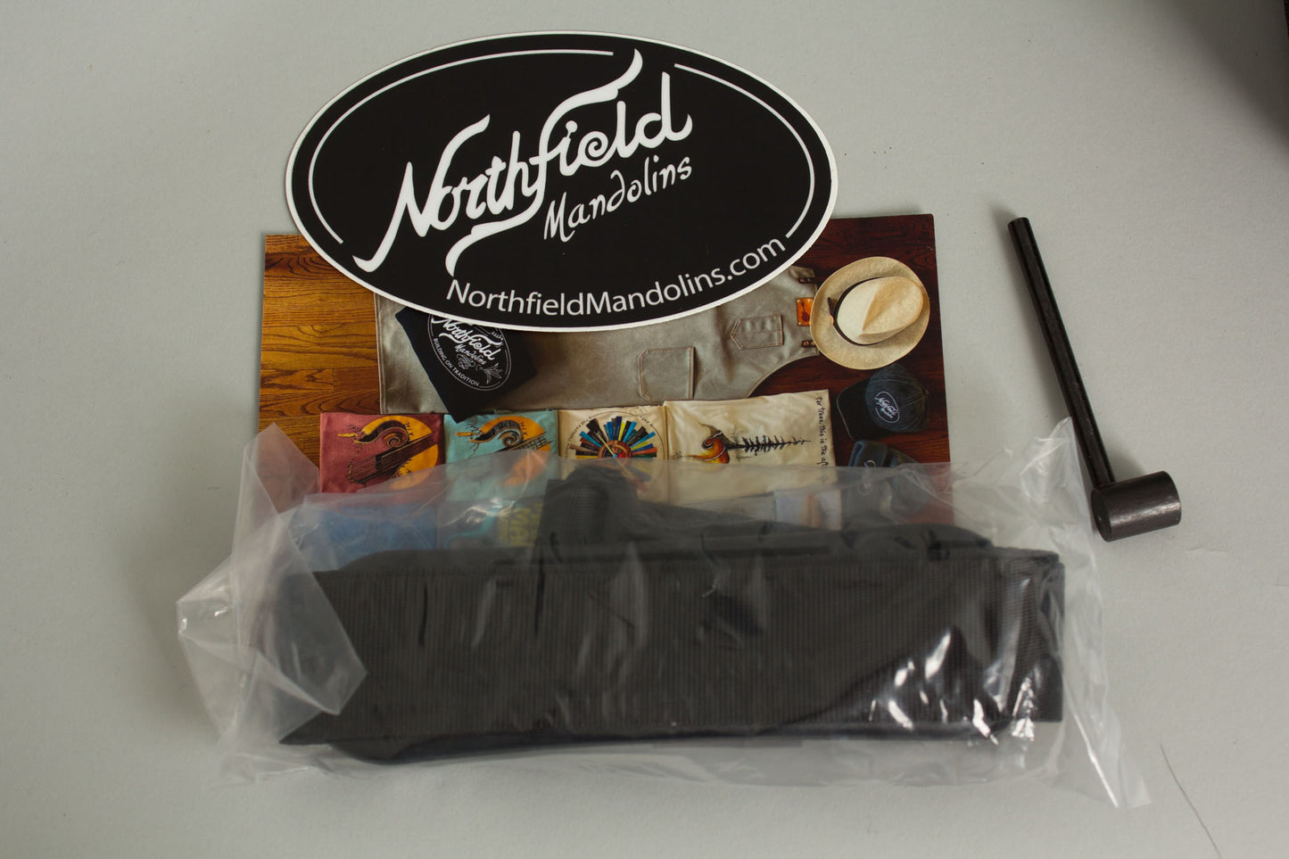 Northfield NFS-F5 Carved Top Mandolin (2026)