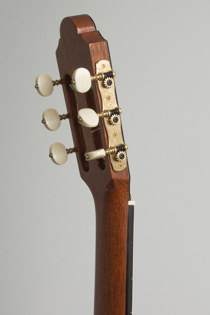 Fernando Gonzalez M. Classical Guitar (2023)