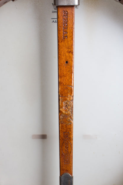 Fairbanks Special Electric 5 String Banjo (1898)