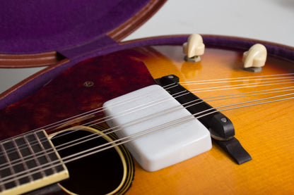 Vega D-100 Hollow Body Electric Mandolin (1950)