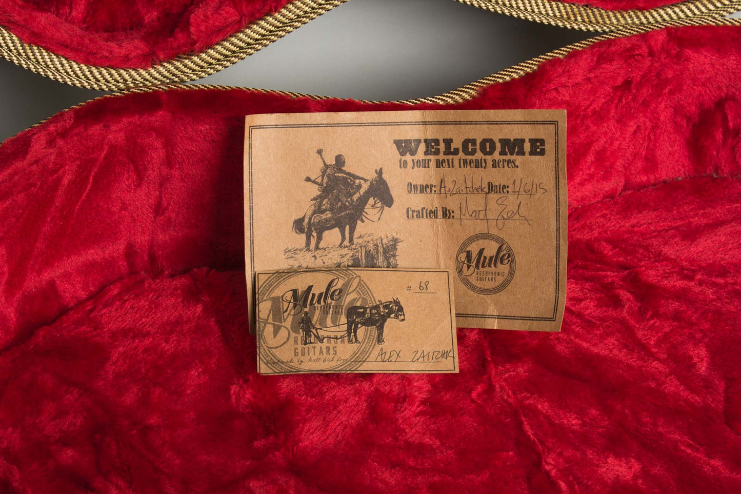 Mule Guitars Electric Resophonic Guitar (2015)