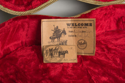 Mule Guitars Electric Resophonic Guitar (2015)