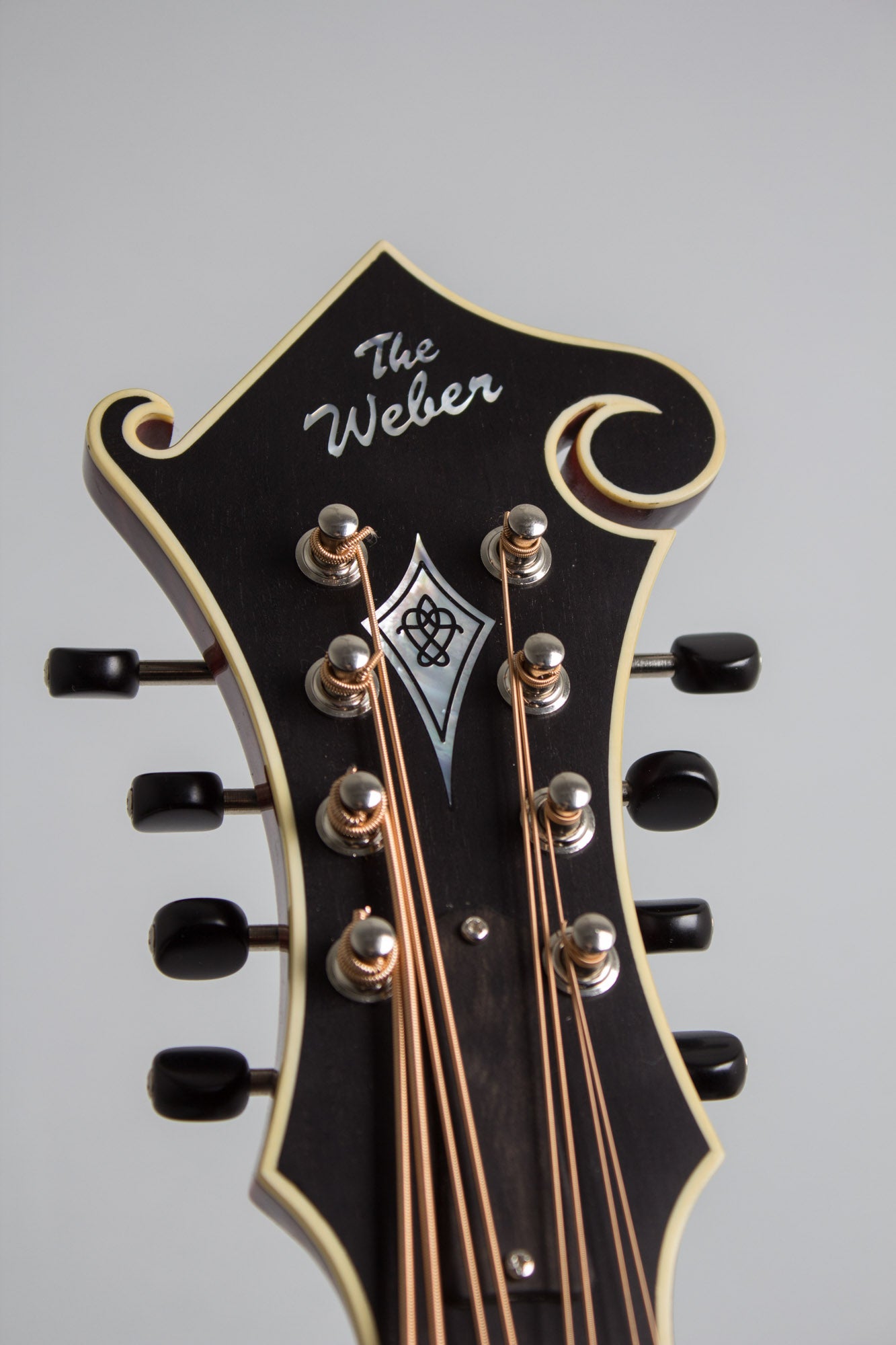Weber Carved Top Mandocello (2016)