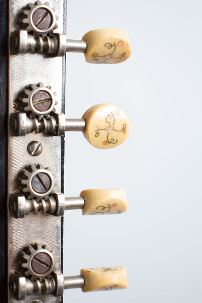 Gibson H-2 Carved Top Mandola (1912)