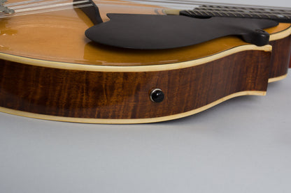 Lyon & Healy Style B Carved Top Mandolin (1919)