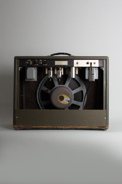 Standel Custom Model 80 L-15-V Tube Amplifier (1960)
