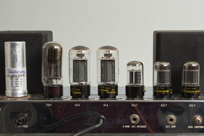 Ampeg B-15N Portaflex Large Tube Bass Amplifier (1963)