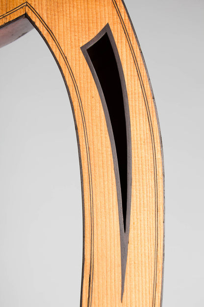 Luigi Mozzani Lyre Harp Guitar (1905)
