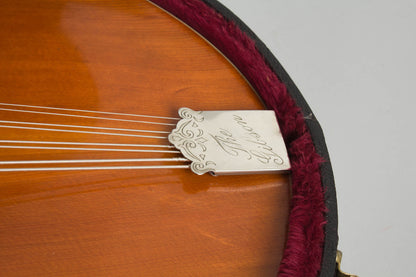 Gibson K-1 Carved Top Mandocello (1914)