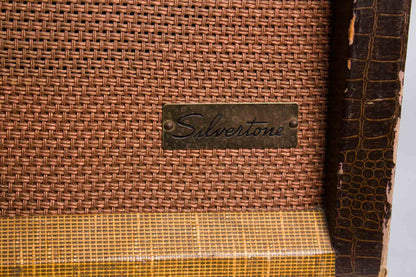 Danelectro Silvertone Model 1336 Tube Amplifier (1956)