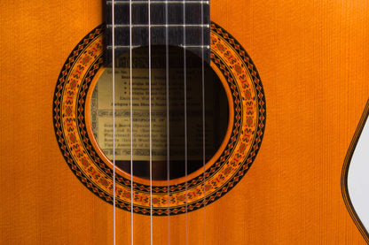 Hernandis Grade #2 Classical Guitar (1973)