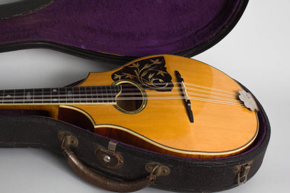 Vega Cylinder Back Model 205 Mandolin (1917)