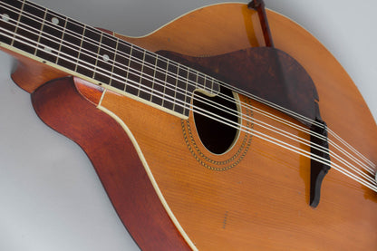 Gibson K-1 Carved Top Mandocello (1915)