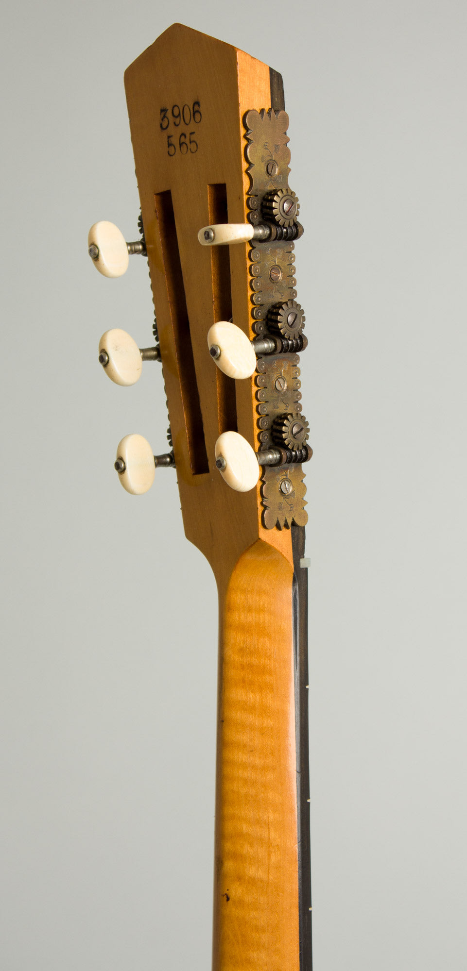 Cammeyer 5 String Zither Banjo (1909)