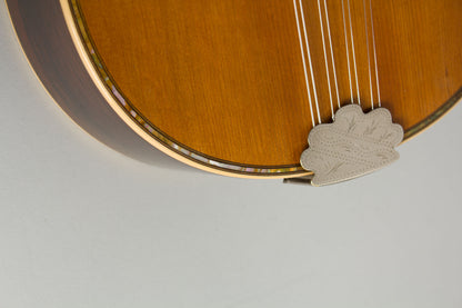 C. F. Martin Style C Flat Back Mandolin (1920)