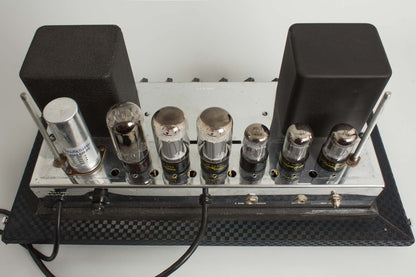 Ampeg B-15N Portaflex Large Tube Bass Amplifier (1963)