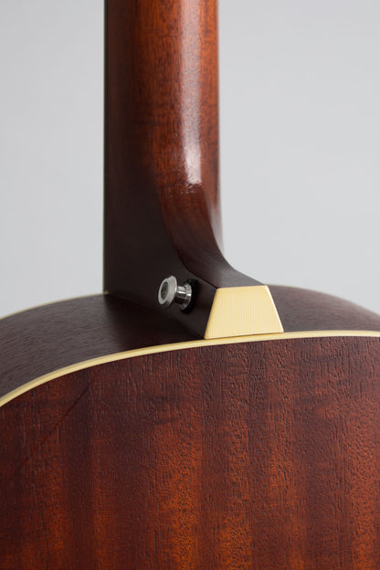 Iris DF Flat Top Acoustic Guitar