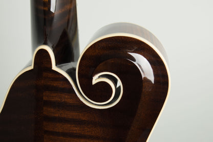 Northfield NFB-F5E Big Mon Carved Top Mandolin (2026)