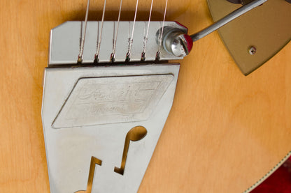 Rickenbacker Model 365F Capri Owned and Used by Jeff Tweedy of Wilco Semi-Hollow Body Electric Guitar (1960)