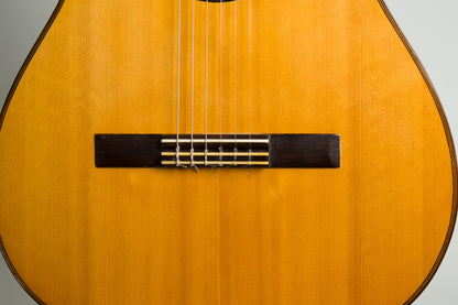 Del Pilar Classical Guitar (1971)