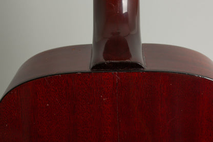 Guild F-20 Flat Top Acoustic Guitar (1965)