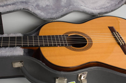 Kolya Panhuyzen Classical Guitar (1999)
