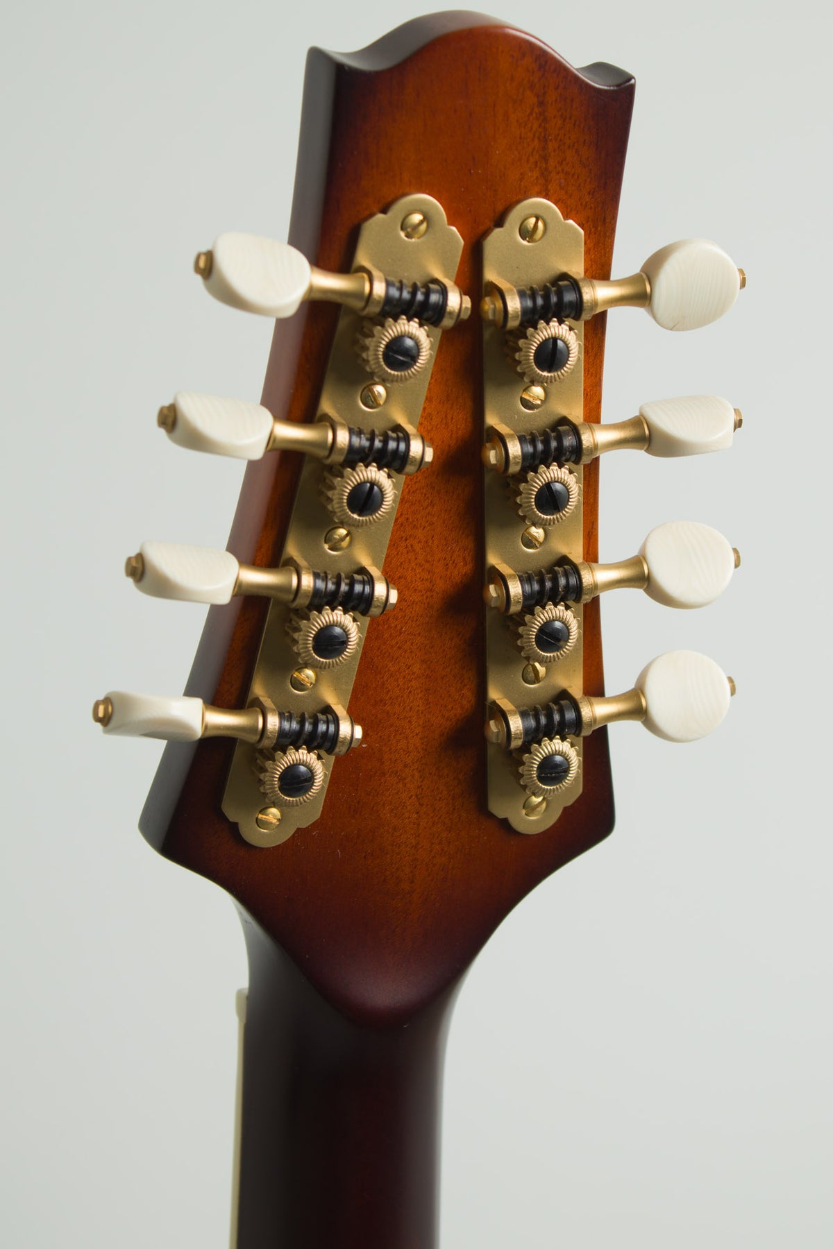 Octolindo F Deluxe carved top Octave Mandolin (2026)