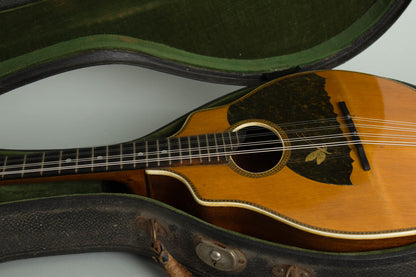 R. A. Mango Flat Back, Bent Top Mandolin (1932)
