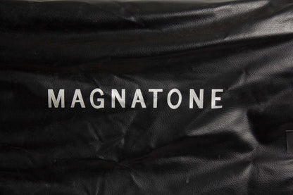 Magnatone Model MP-1 Tube Amplifier (1966)