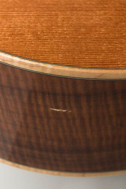 Circle Strings A-1 10 String Acoustic Flat Top Guitar (2018)