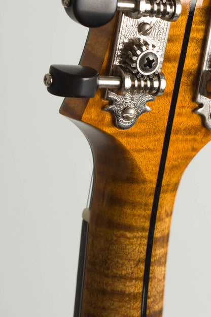 Northfield NFA-F5IE Carved Top Mandolin (2025)